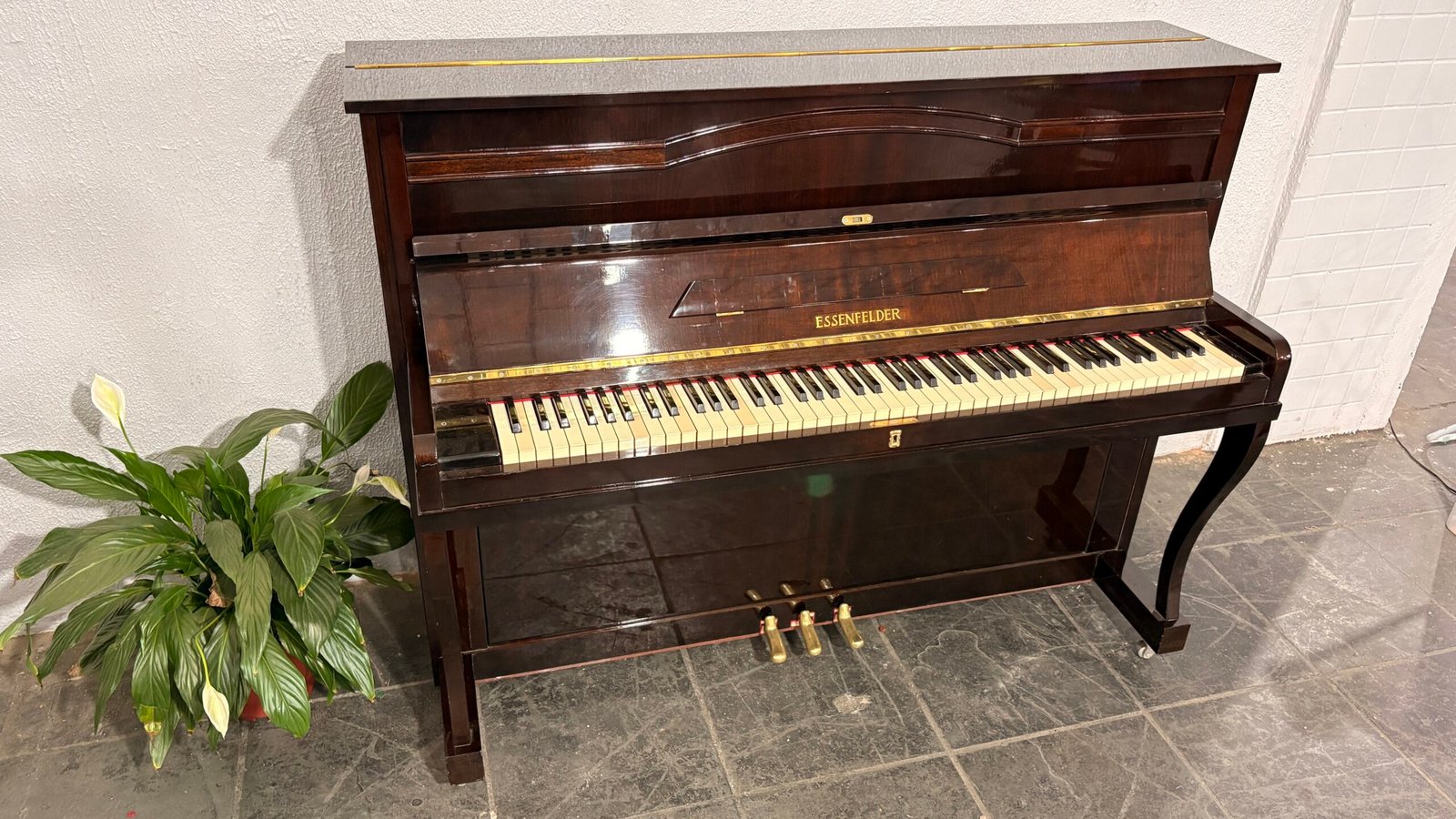 Piano Essenfelder Usado para Venda Entrega Grátis Pianos Tuner