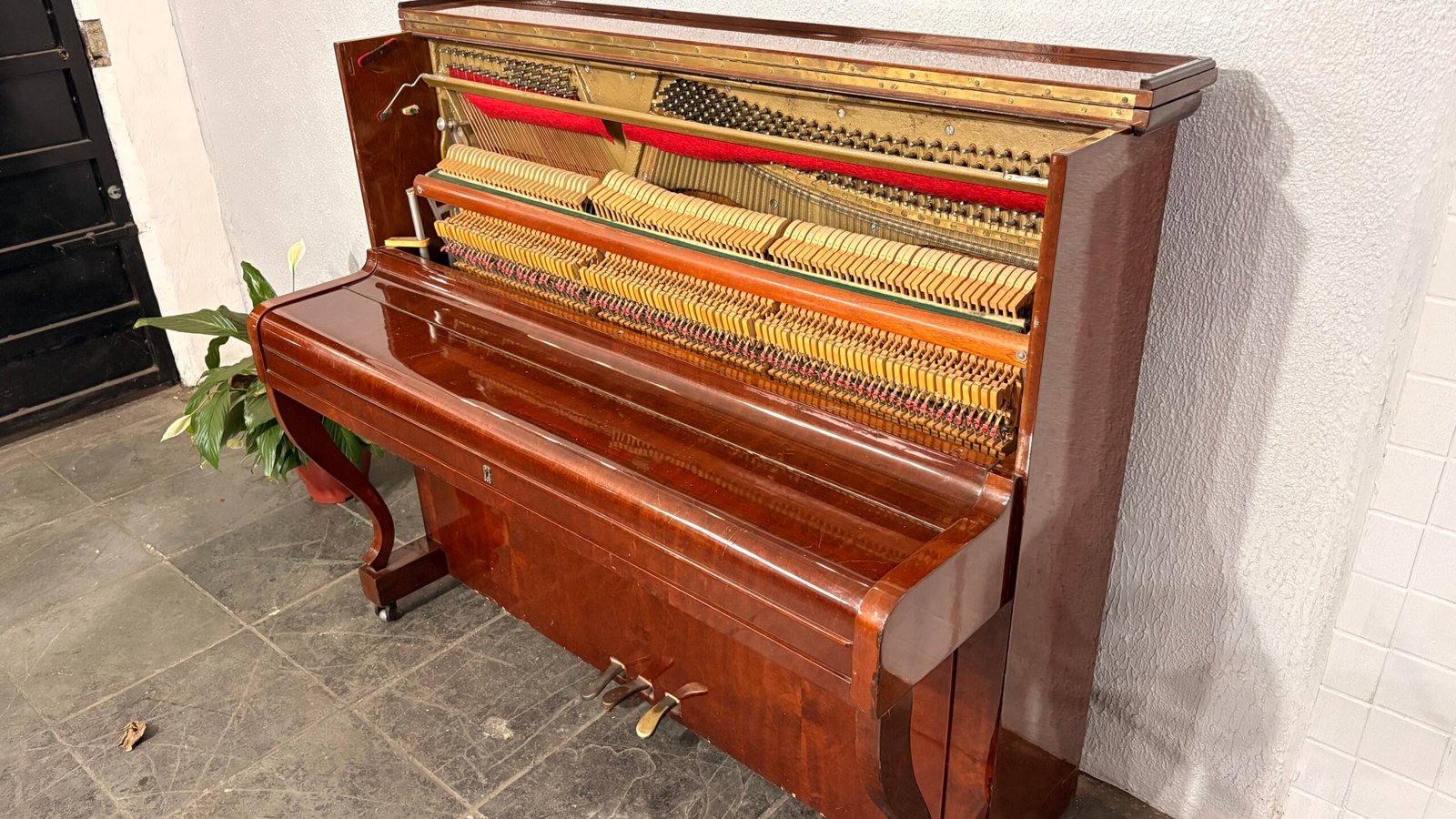Piano Zimmermann Usado para Venda Entrega Grátis Pianos Tuner